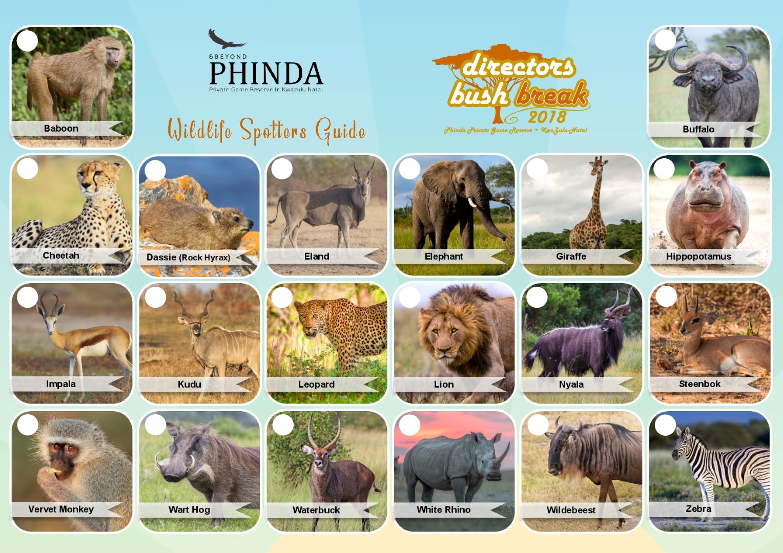 Spotters Guide-002 (Large)